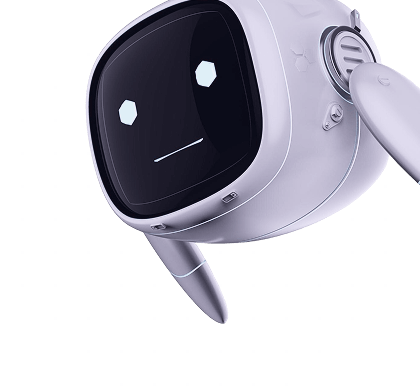 Premium Brands Digital Services and Designs